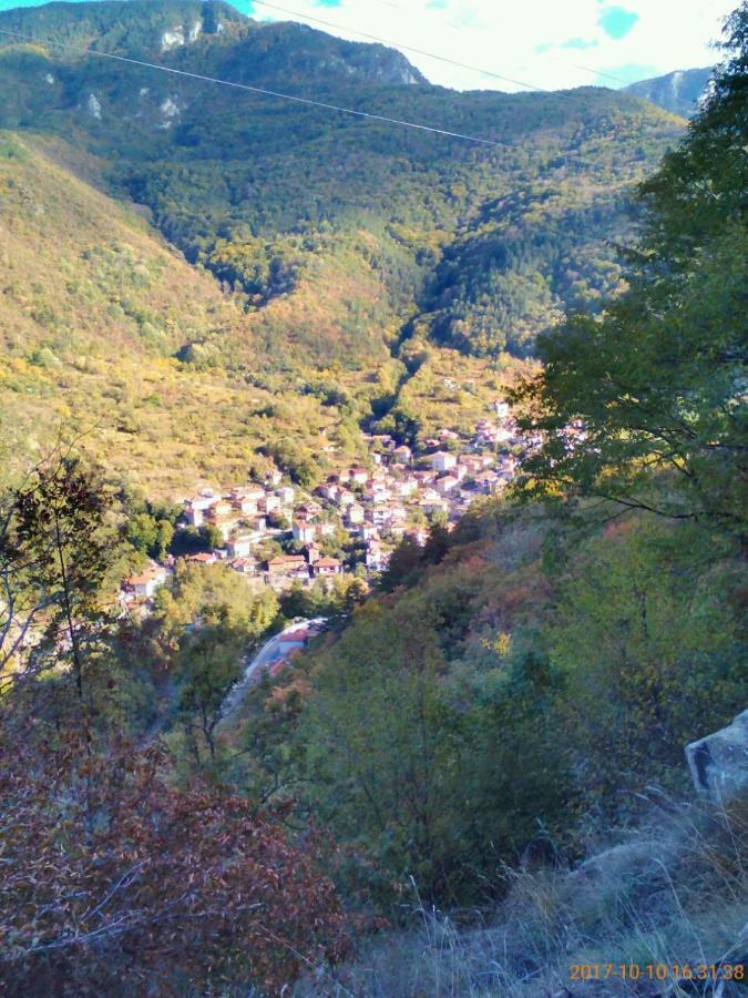 Vila Bachkovo Bagian luar foto